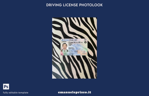 modello FRONTALE photolook USA Alaska DL stile verificato